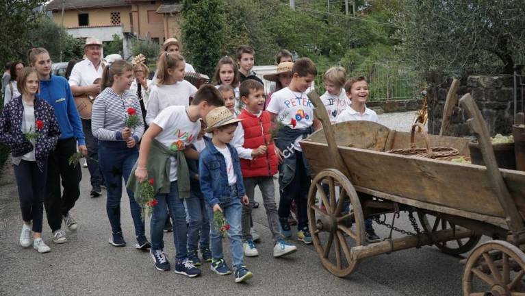 Števerjansko reprezentančno vino, vino vseh občanov