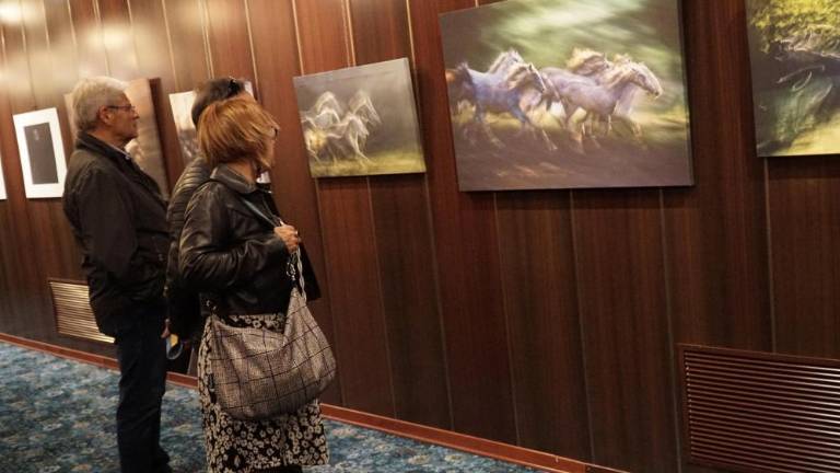 Srečanje z mojstrsko fotografijo