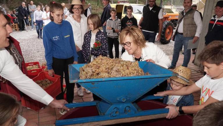 Števerjansko reprezentančno vino, vino vseh občanov