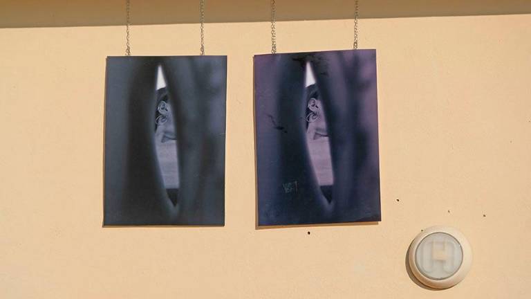 V Križu vaška šagra