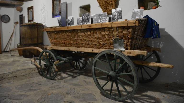 V briških kleteh ni bilo le vina ...