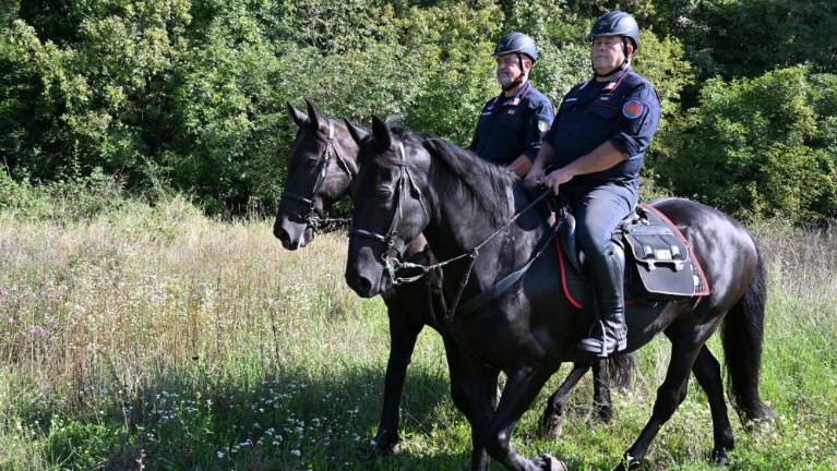Nova konjeniška enota je na Kras prijezdila iz Belluna