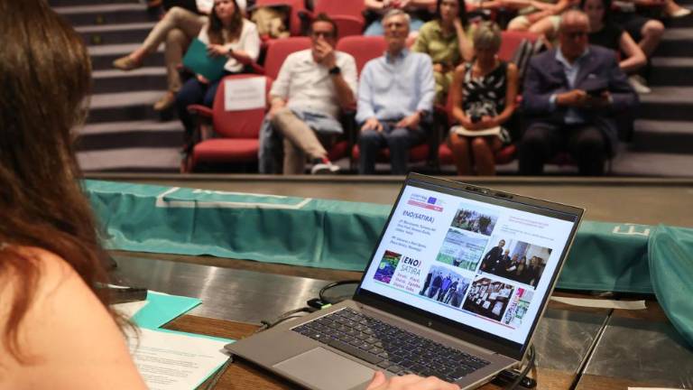 Čezmejni prostor bo poživilo 350 dogodkov