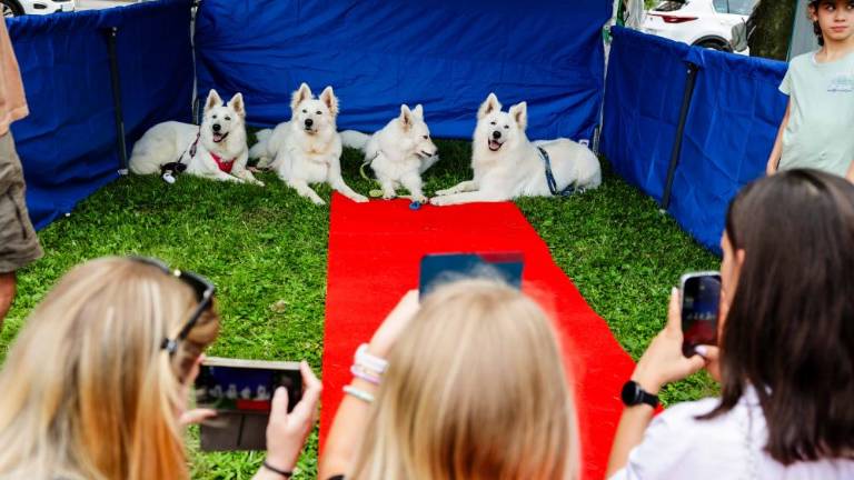 Mesto je za en dan postalo raj za otroke