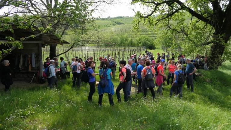 Pohod ob prvem maju povezal Brda