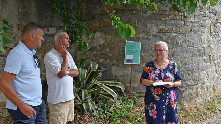 Po sledeh pozabljene cerkve pri Magdaleni