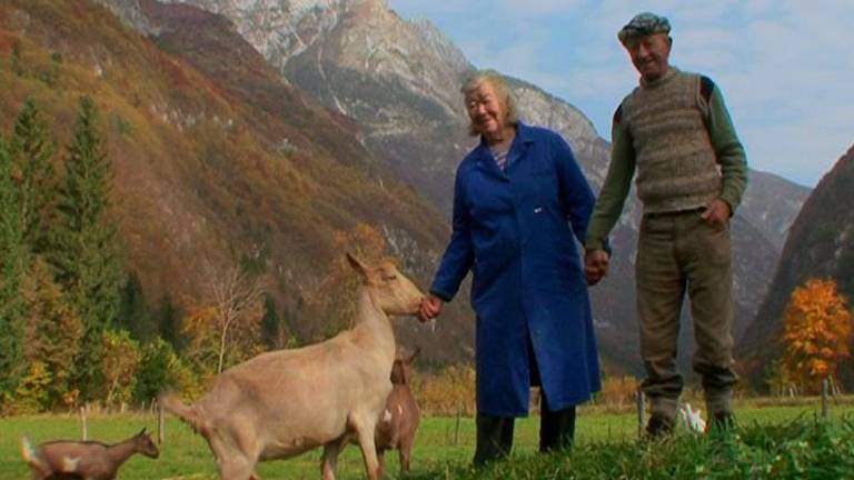 Retrospektiva, posvečena meji skozi film in zgodovino