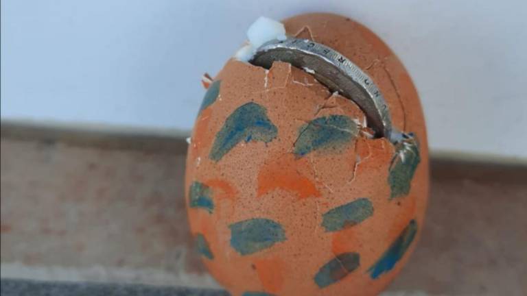 Barvali in »šticali«