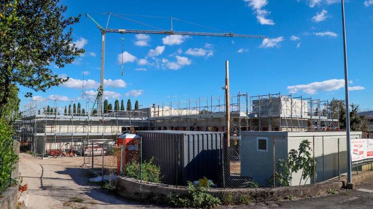 Upepeljevalnica bo začela delovati prihodnjo pomlad