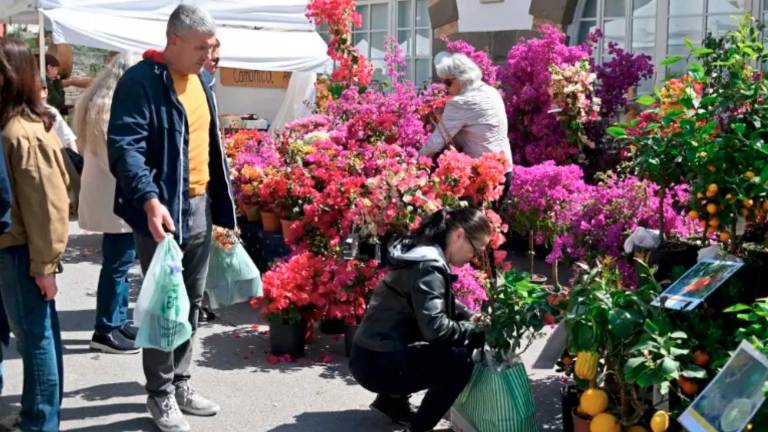 Na cvetličnem sejmu Horti Tergestini tudi vino in bogat kulturni program