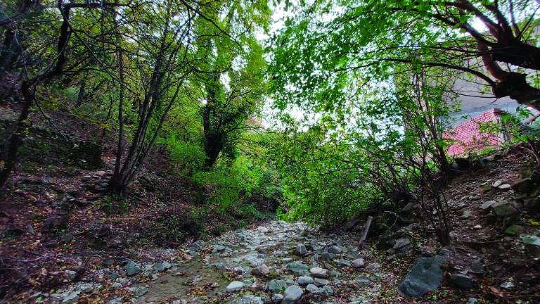 Strugo Glinščice bodo mesec dni čistili in urejali