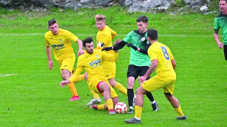 Sesljanki »delfini« bodo tudi po letošnjem rednem delu sezone lovili obstanek v play-outu (ARHIV)