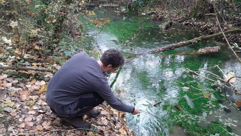 Skrivnosti podzemnih voda raziskujejo ob visokem vodostaju