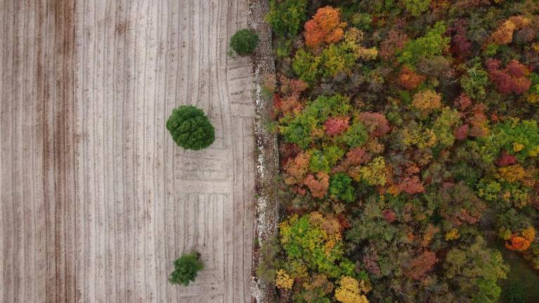 V Sloveniji pomoč pri prostovoljnem končanju življenja spet na voliščih