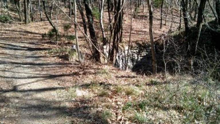 Čezmejna krepitev zelene infrastrukture