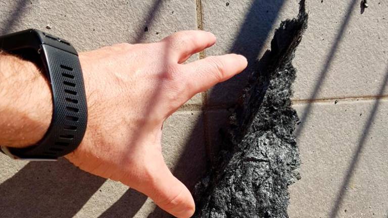 Črne saje in pepel segli do Štandreža