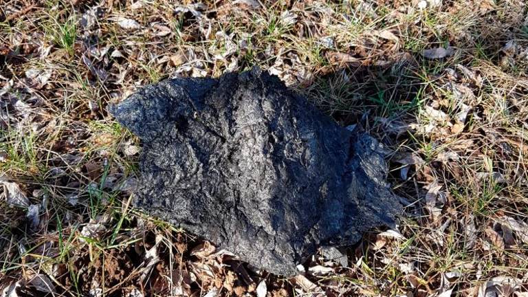 Črne saje in pepel segli do Štandreža