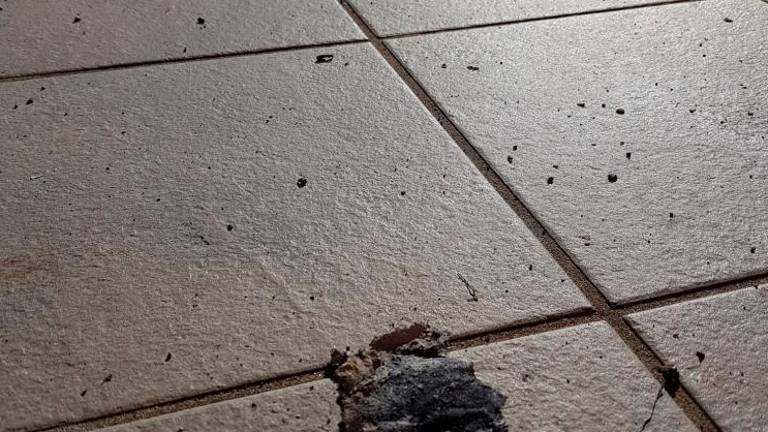 Črne saje in pepel segli do Štandreža