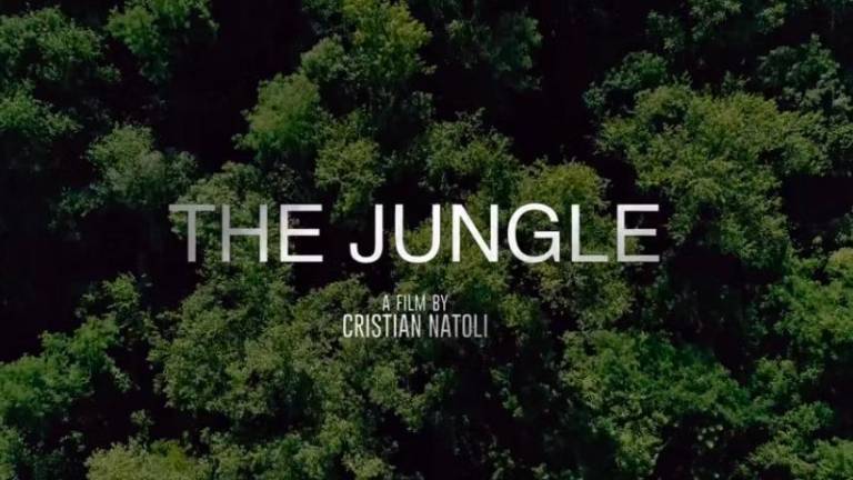 »The Jungle« danes in jutri v Gorici in Tržiču