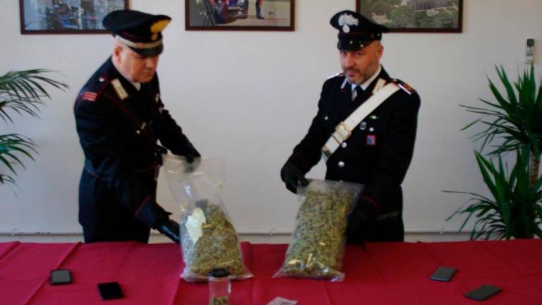 Iz Slovenije »uvozil« kilogram marihuane