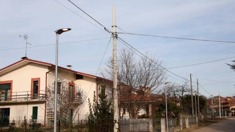 Električni mrki zaradi vej, obrezati jih morajo občani