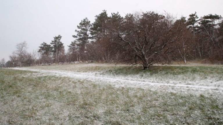 Video: sneg na Krasu