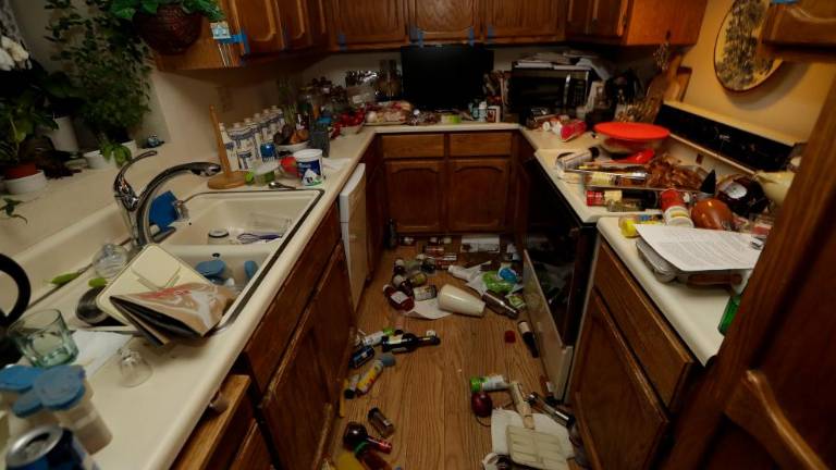 Kalifornijo stresel močan potres