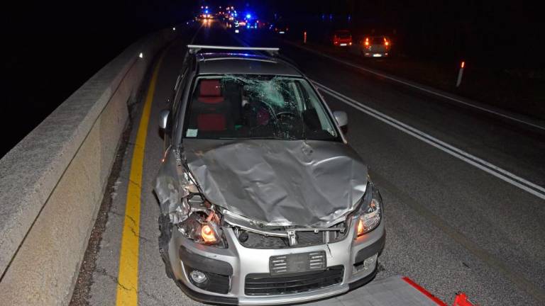 Osli povzročili nesrečo