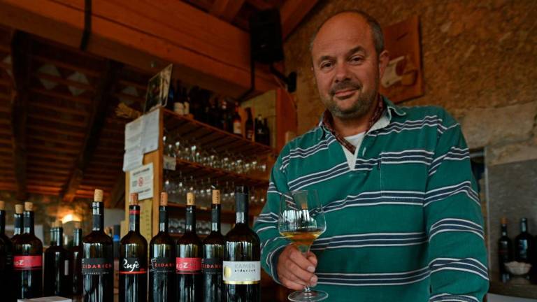 Zidaricheva Vitovska 2017 na 43. mestu v Italiji