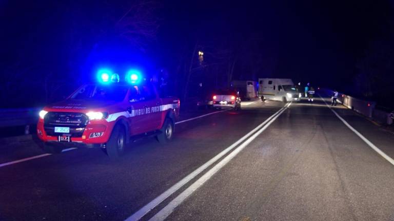 Osli povzročili nesrečo