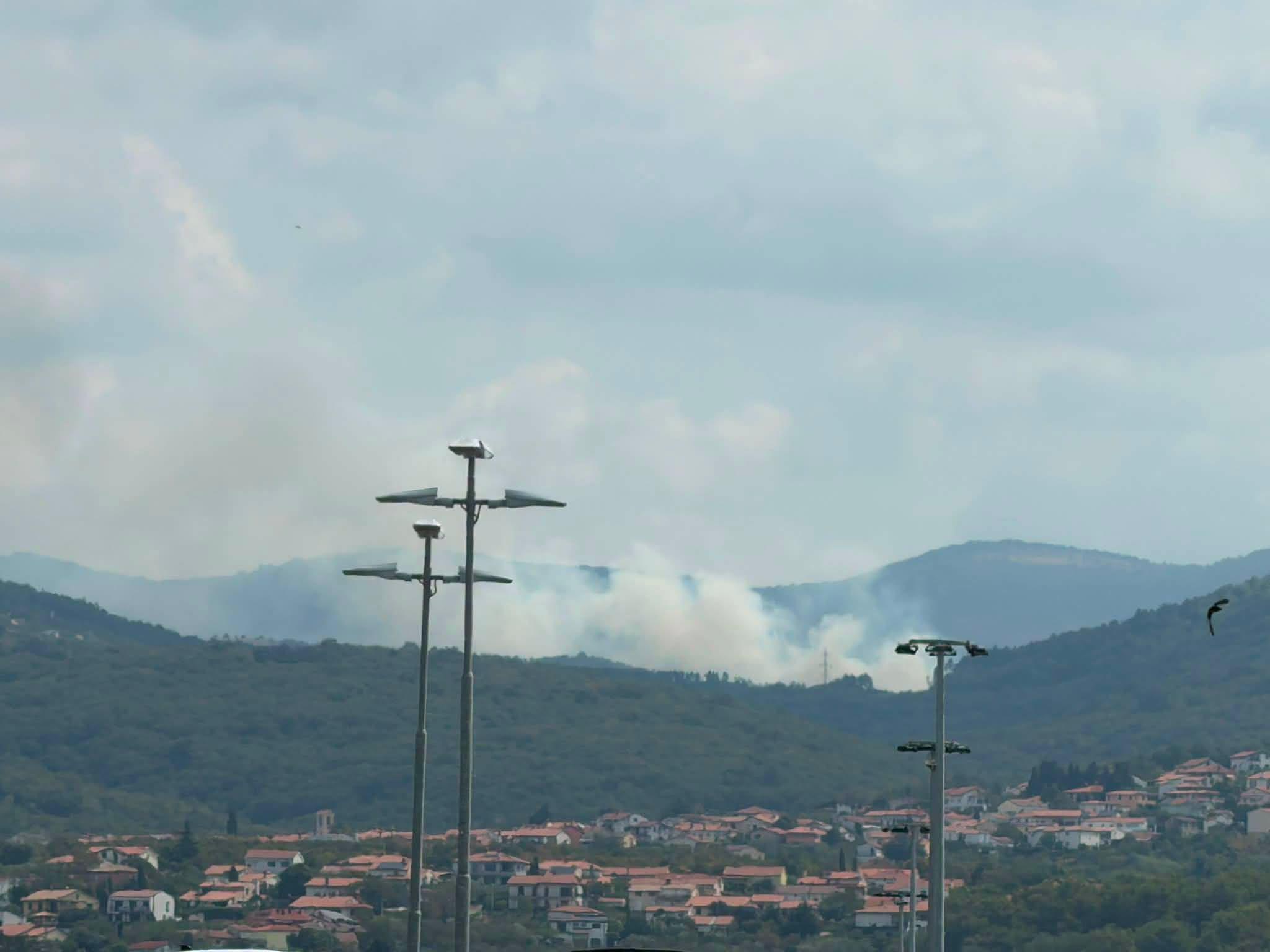 Zagorelo v bližini Podgorja pri Kopru