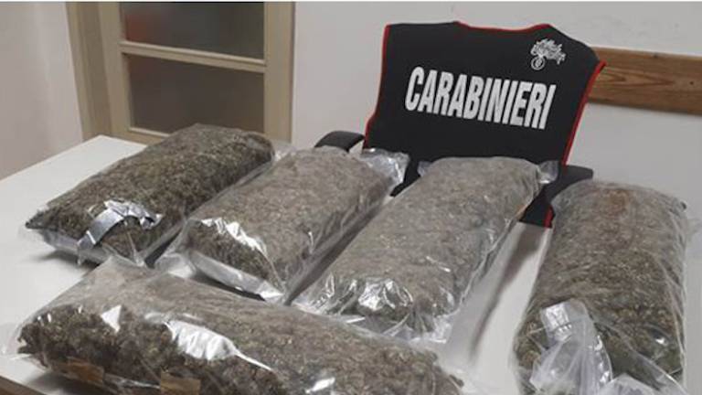 Prevažal je več kot 5 kg marihuane