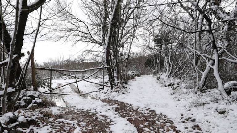 Diši po zimi in snegu