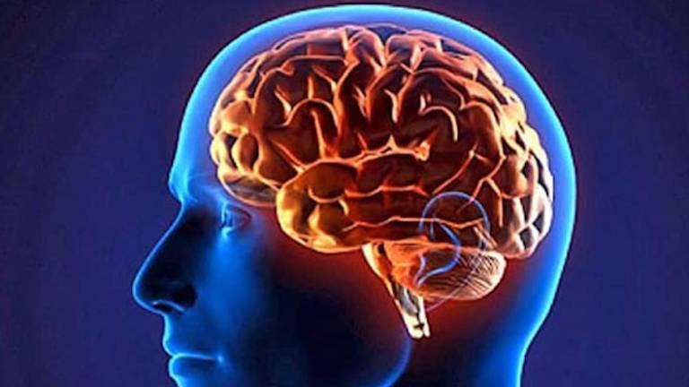 Človeški možgani po smrti živijo še naprej