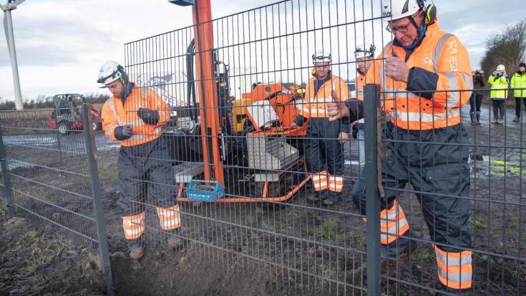 Danska na meji z Nemčijo postavila ograjo proti divjim prašičem