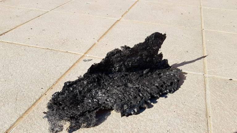 Črne saje in pepel segli do Štandreža