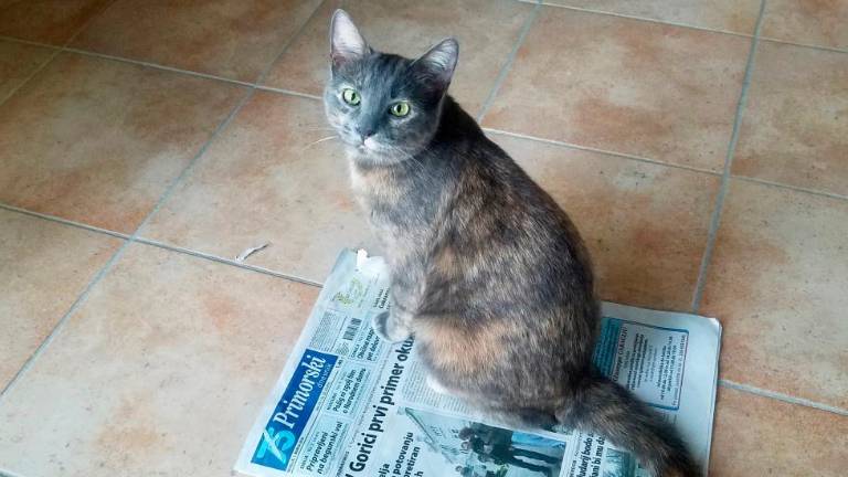 Fotoutrip ‘20 - marec