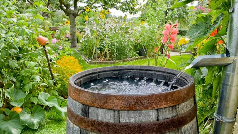 V FJK tudi letos subvencije za zbiranje deževnice