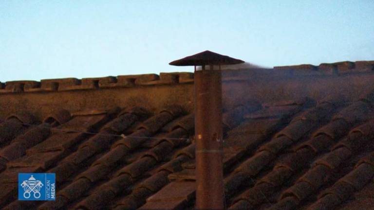 Novega papeža kardinali danes niso izvolili