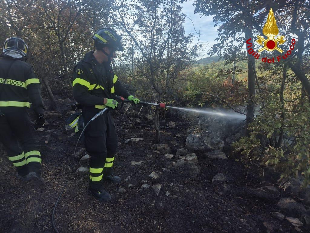 Pri Sesljanu zagorelo tudi popoldne, požar takoj pogasili