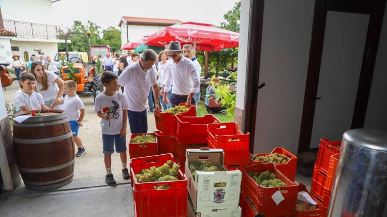 Živahni sprevod trgačev tokrat krenil v Ščedno