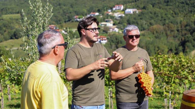 Oranžni grozd prevzela kmetija Primosic