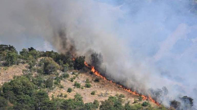 Požar med Borštom in Boljuncem