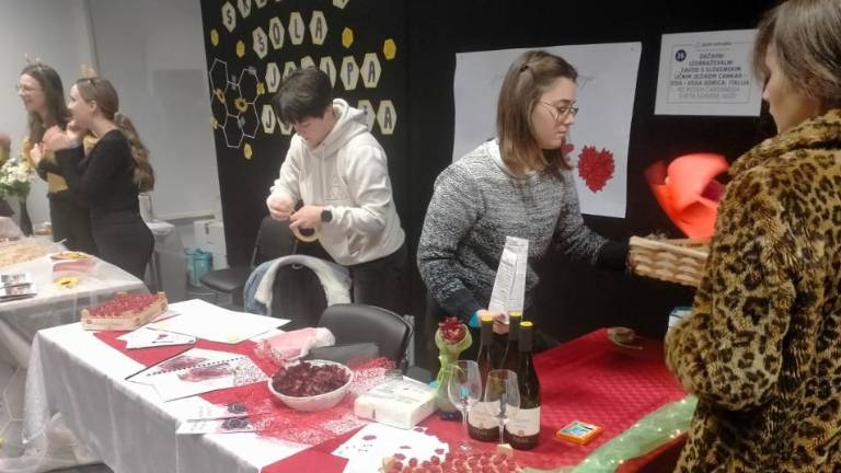 Po poteh goriške rože do bronastega priznanja