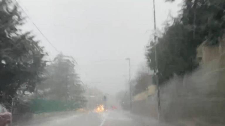 Naliv in močan jugo na Tržaškem povzročala težave (VIDEO)