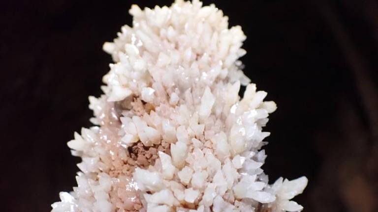 Naleteli so na 21 jam