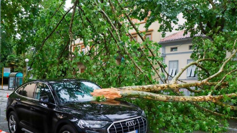 Na Goriškem pustošilo neurje (foto)