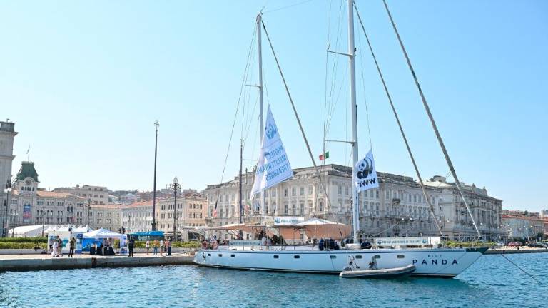 Graditi skupnost za zaščito morja