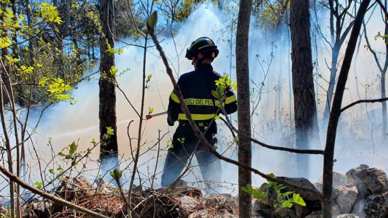 Pogasili požar med Trnovco in Praprotom