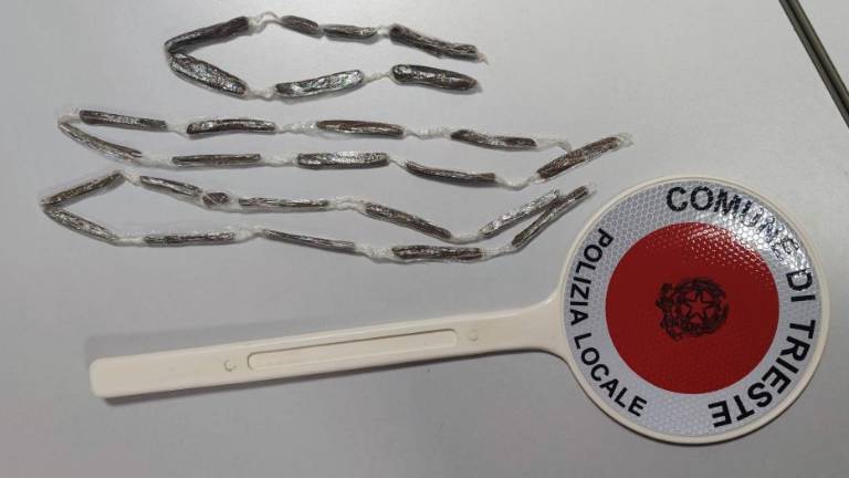 Belgijski ovčar Conan izvohal hašiš